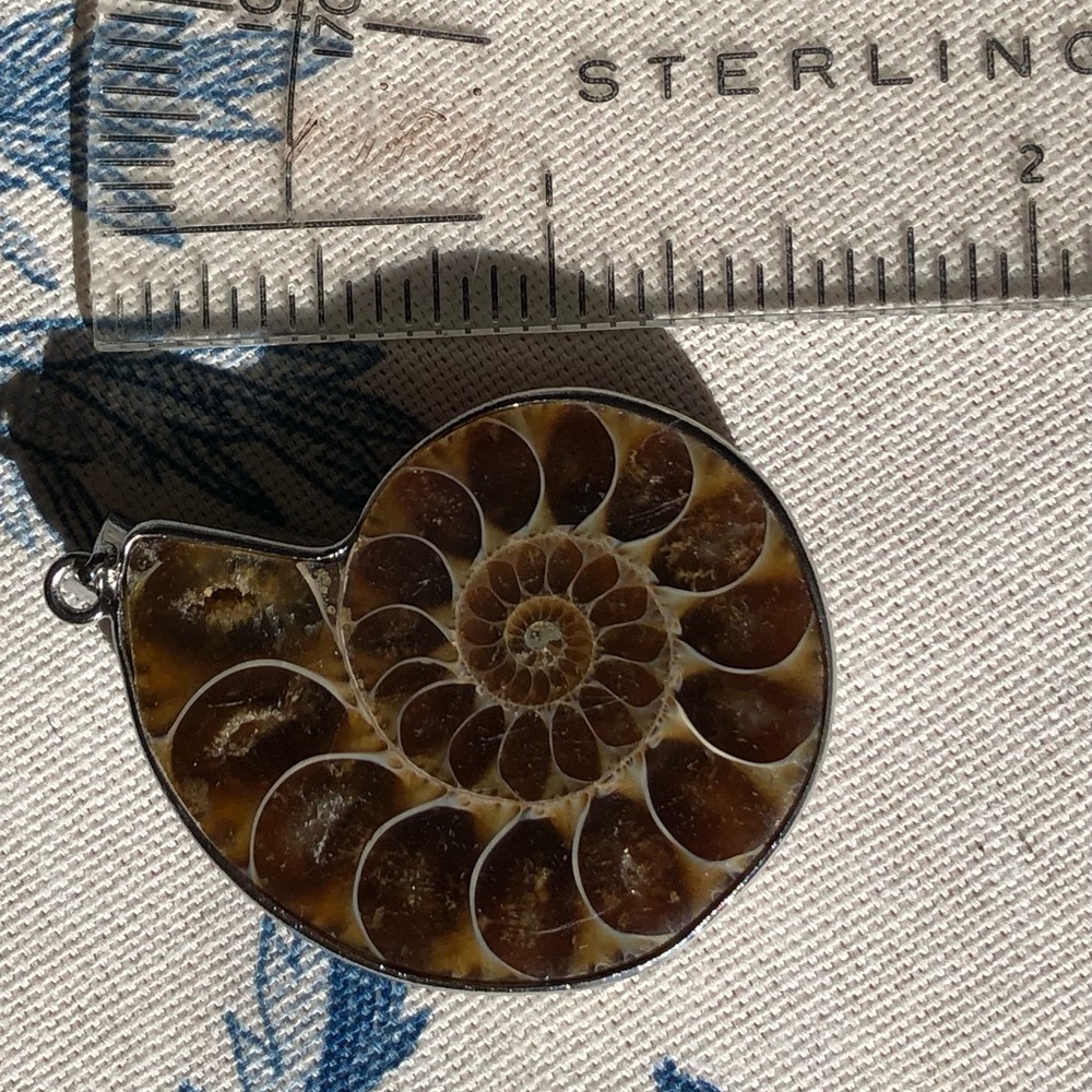 Ammonite Pendant - Picture 3 of 4